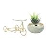 Aloe Vera Plant In Ceramic Pot On A Beautiful Cycle Cart
