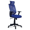 Zeeazyana High Back Ergonomic Chair in Blue Colour
