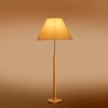 Devansh Wood & Metal Floor Lamp