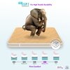 Pure Sleep Premium Orthopedic Pocket Spring Mattress