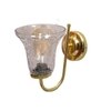 Devansh Metal Electric Wall Light in Gold Colour with Transparent Shade Count of 1 Light