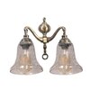 Devansh Metal Electric Wall Light in Antique gold Colour with Transparent Shade Count of 2 Lights