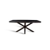 Crispio Solid Wood 6 Seater Dining Table in Brown Finish