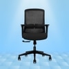 Eterna Mid Back Mesh Office Chair in Black Colour