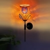 Devansh Metal Electric Wall Light in Black Colour with Multi Shade Count of 1 Light