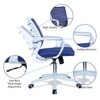 Iinea Mid Back Ergonomic Chair in Blue Colour