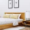 Hexa Engineered Wood Modern Queen Bed With Headboard Without Storage In Giant Wood