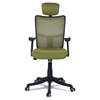 Jeaorda High Back Ergonomic Chair in Pearl Green Colour