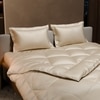 Stoa Paris Comforter Set Double Bed, 300TC Satin Double Bed Comforters in Charming Ivory