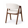 Tashi Upholstered Back Dining Chair