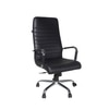 Adiko Sleek Executive Office Chair In Black