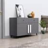 Hexa Red Multipurpose Storage Cabinet With 2 Drawer 2 Door in Slate Grey Colour