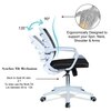 Iinea Mid Back Ergonomic Chair in Black Colour