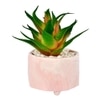 Citrus Delight Artificial Succulent With Pink Planter