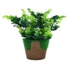 Artificial Jade Plant With Pot
