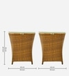Hobart Wicker Table And Chair Set In Beige Brown Dual Tone Finish