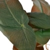 Transparent Glass Planter With Artificial Begonia Plant