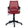 Ddeasirea Mid Back Ergonomic Chair in Red Colour