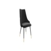 Sumra Solid Wood Accent Chair in Black Colour