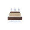 Themis Engineered Wood Queen  Size Bed With Box Storage (Walnut Finish)