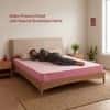 Kurlon Ortho Plus Medium Firm Orthopedic Mattress Single Size 78x30x5 Inch