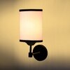 Devansh Metal Electric Wall Light in Black Colour with Multi Shade Count of 1 Light