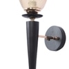 Eliante Mashal Wall Lights Mild Steel & Glass Material Brown & Champaign Finish