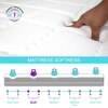Ortho Pocket Spring Mattress