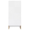Trudo Modular Shoe Cabinet for 10 Pairs – Modern Space-Saving Shoe Storage Cabinet