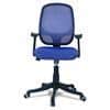 Goolda Low Back Ergonomic Chair in Blue Colour