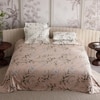 Stoa Paris Super King Size Cotton Bedsheet with 4 Pillow Covers  Size Nectar Bloom Peach
