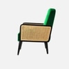 Haden Solid Wood Accent Chair in Green Colour