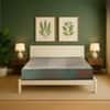 Repose Ortholux Foam PU Foam with Memory Foam Mattress (L x W: 72 inch x 36 inch, Thickness 6 Inches )