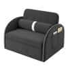 Jayen 1 Seater Pull Out Sofa cum Bed  in Dark Grey Colour