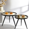 Oalveil Solid Wood Side Table in Black Finish - Set of 2