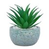 Attractive Aloe Vera Plant With Green Pebble Patterned Design Ceramic Pot