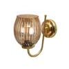 Devansh Metal Electric Wall Light in Gold Colour with Lavender Shade Count of 1 Light