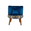 Easy Lounge Chair with Cushion in Blue Color