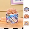 Sucullent Artificial Plant With Multicolored Stripes Along With Pot