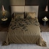 Stoa Paris Super King Size 100% Cotton Bedsheet with 2 Pillow Covers  Size Brown Green