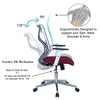 Wiwngas Mid Back Ergonomic Chair in Maroon Colour