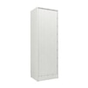 Ren 2 Door Engineered Wood Wardrobe in Silver Oak Finish