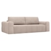 Riyab 3 Seater Pull Out Sofa cum Bed  in Beige Colour