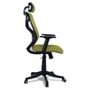 Zeeazyana High Back Ergonomic Chair in Pearl Green Colour