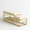 Goldenstride Metal Rack in Beige Colour