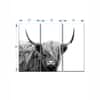 Truss Pcs White Black Highland Cow Framed Canvas Wall Canvas Wall Prints Set of 3 Multicolor Matte