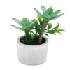 Artificial Succulent Indoor Plant With Ceramic Pot