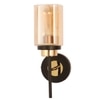 Eliante Modern Wall Lights Mild Steel & Glass Material Black, Gold & Champaign Finish