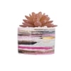 Sucullent Artificial Plant With Horizontal Multicolored Stripes Along With Pot