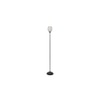 Rick Black Glass Shade Floor Lamp